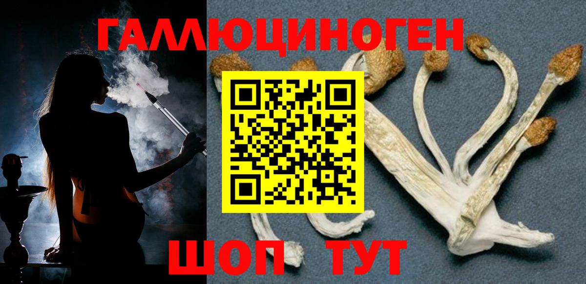 Екатеринбург  Галлюциногенные грибы мухоморы  Вход с VPN 